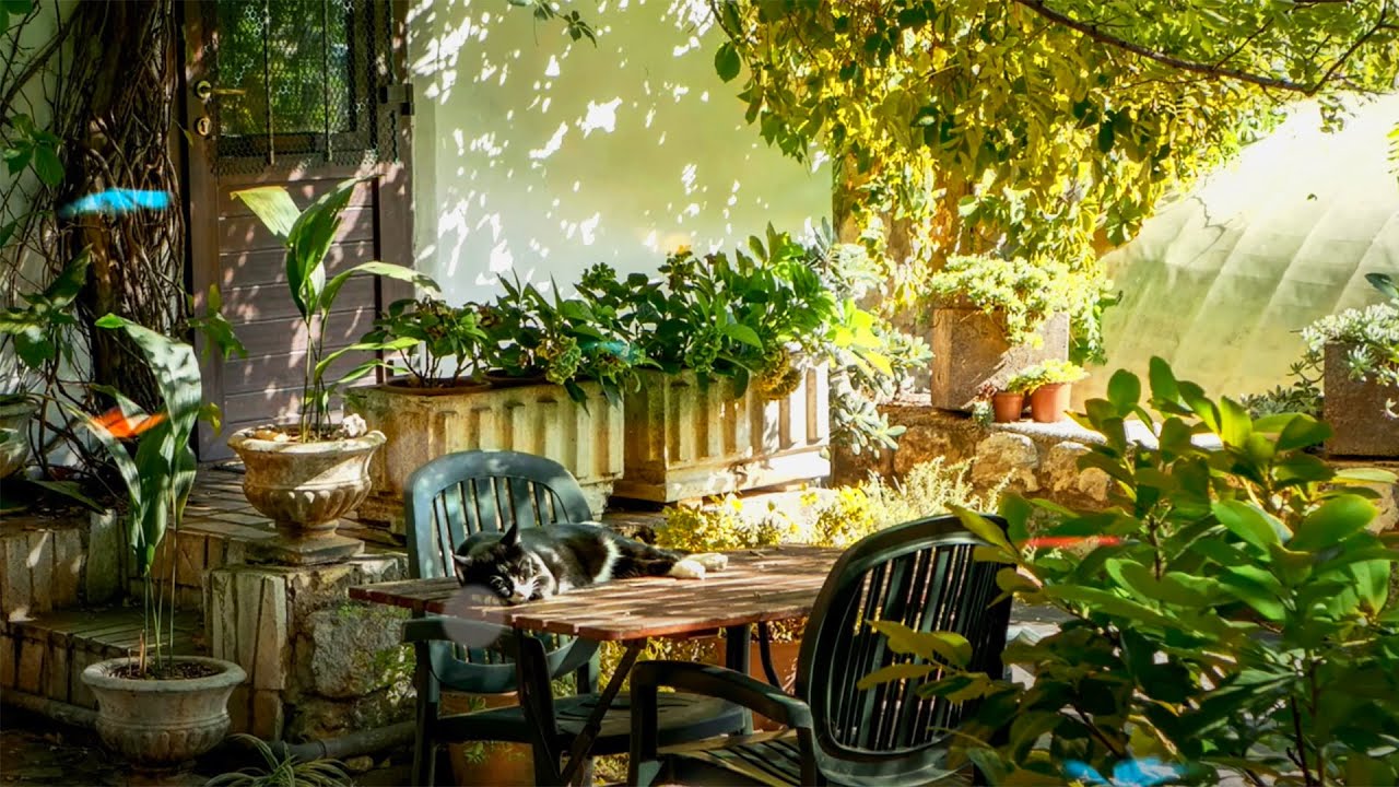 Gardening Ambience | Greenhouse Summer Ambience Plant Watering, Nature Sounds, Birds & Bees