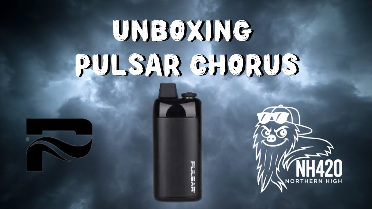 Распаковка: Pulsar Chorus