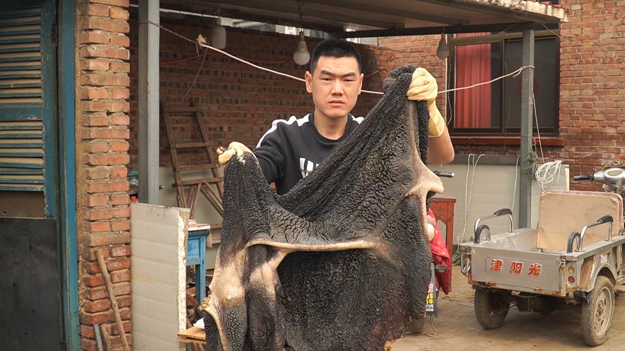 【食味阿远】470块钱买了23斤牛肚，光清洗花了一天，卤水卤一锅，闻着真香 | tripe | Shi Wei A Yuan