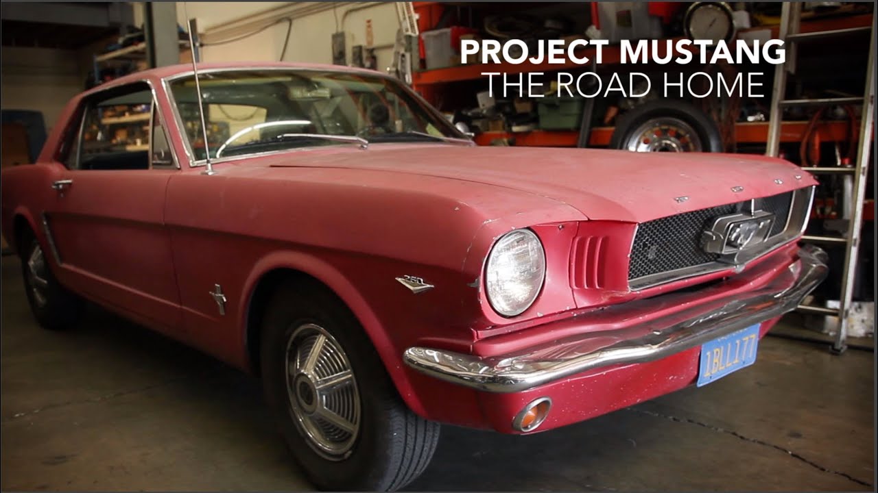 Mustang Road Trip | The Road Home