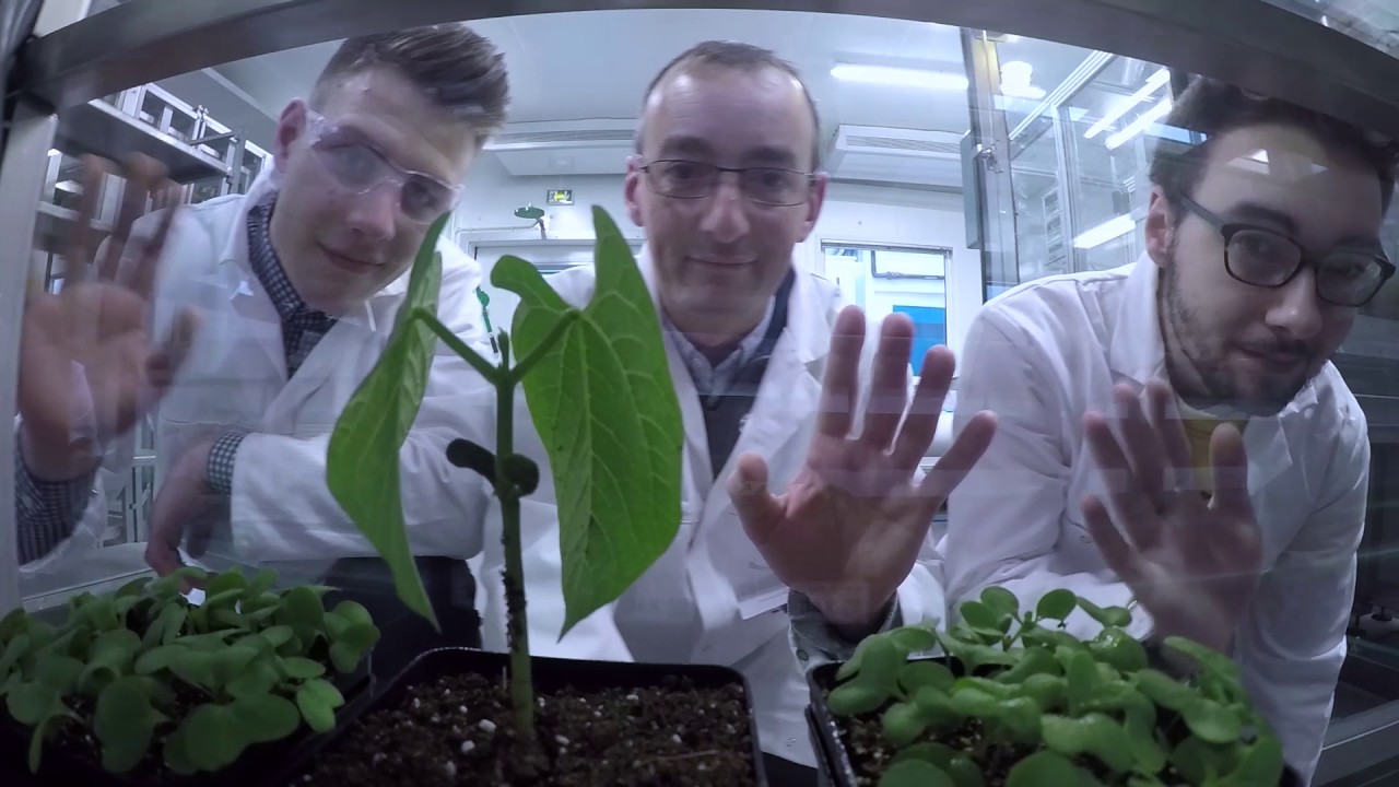 Le labo du futur - BAYER