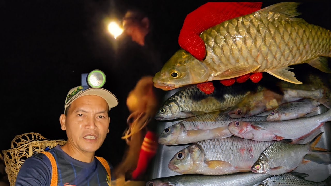 Menjala Waktu Malam, Sangat Mengejutkan‼️😱