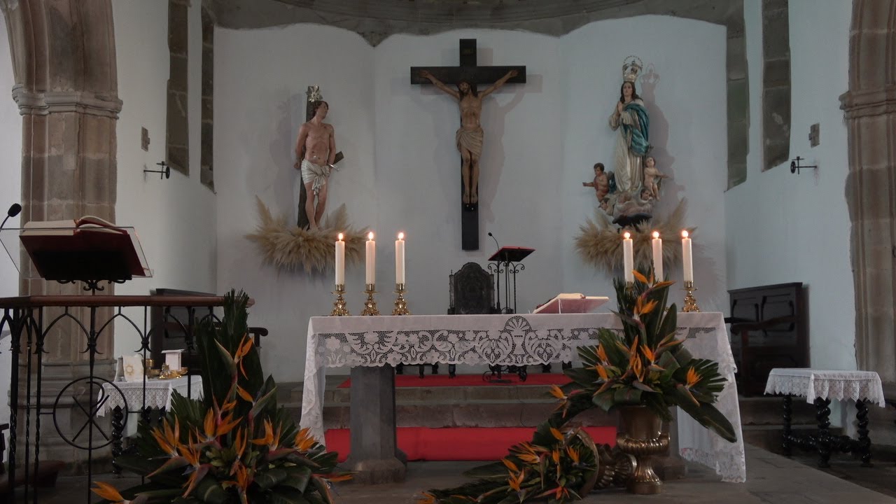 Missa de Catequese dia 17 01 2026   com Sermão  Pregador Padre Luis Silva