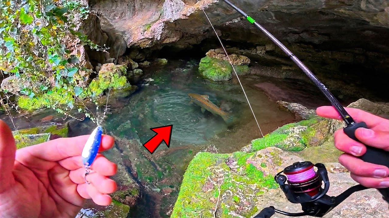 Je p&ecirc;che des coins inexplor&eacute;s en montagne : surprises garanties !! (traque de la truite)