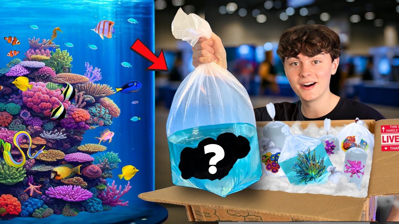 BUYING CORALS at this INSANE CORAL SHOW!! (Reef-A-Palooza Texas 2025)