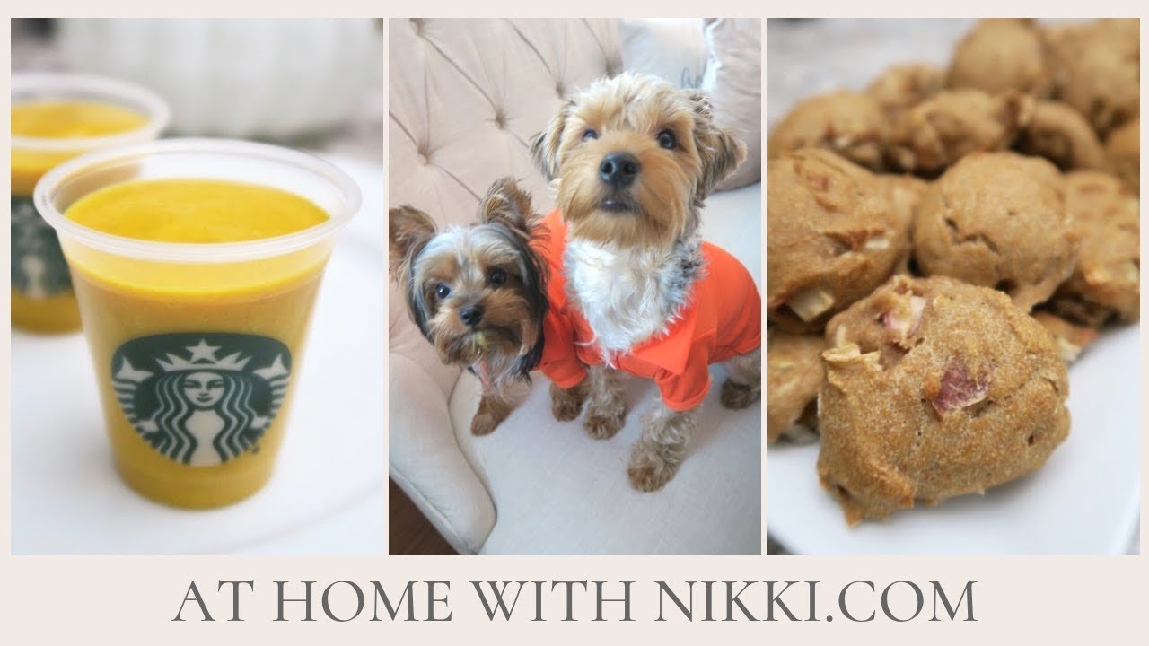 DIY FALL PUPPY TREATS