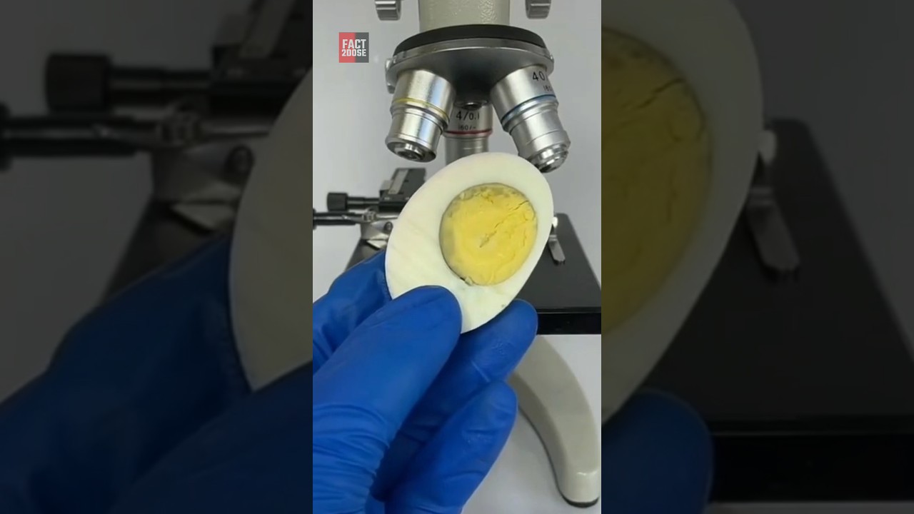 3 सबसे कमाल के microscopic view |😲😯| #shorts