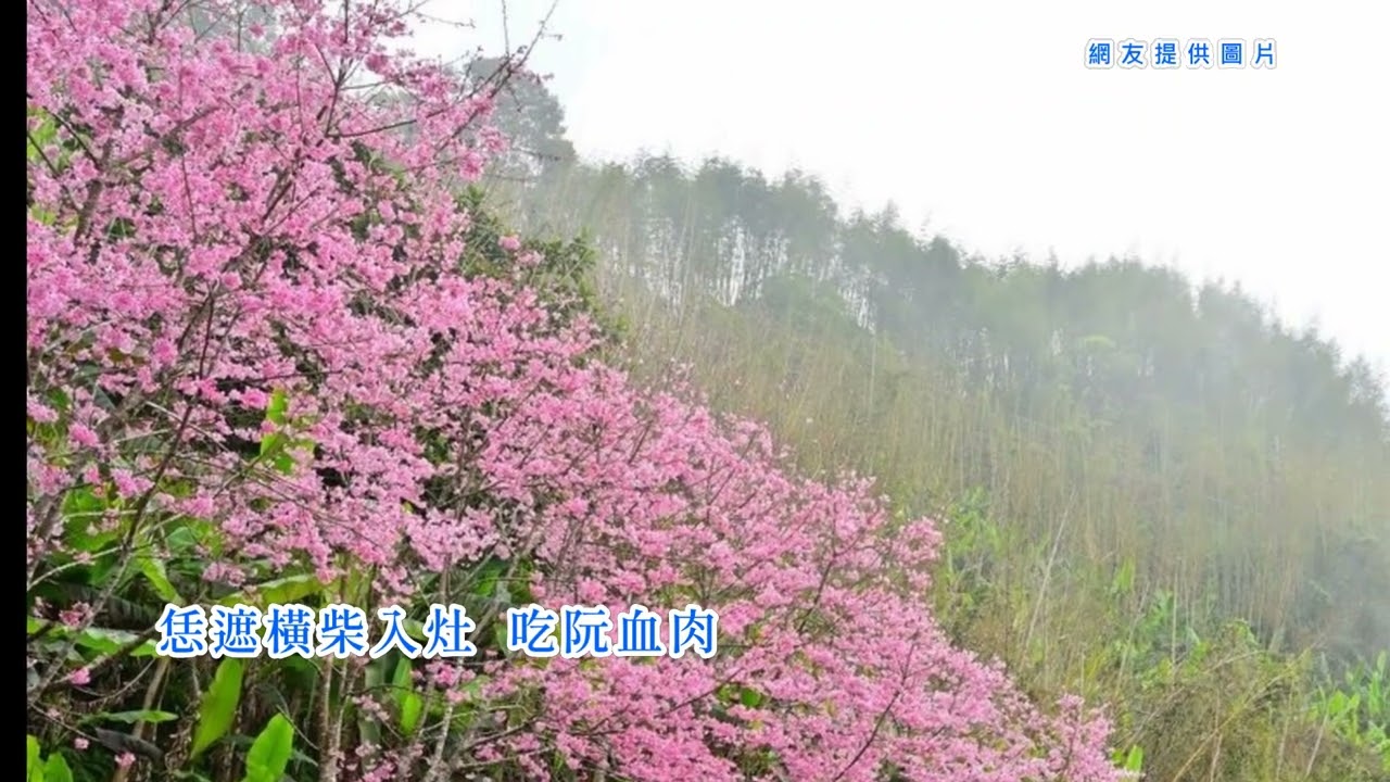 朱約信(豬頭皮) - 天公伯仔 (台語歌詞標誌+字幕版)