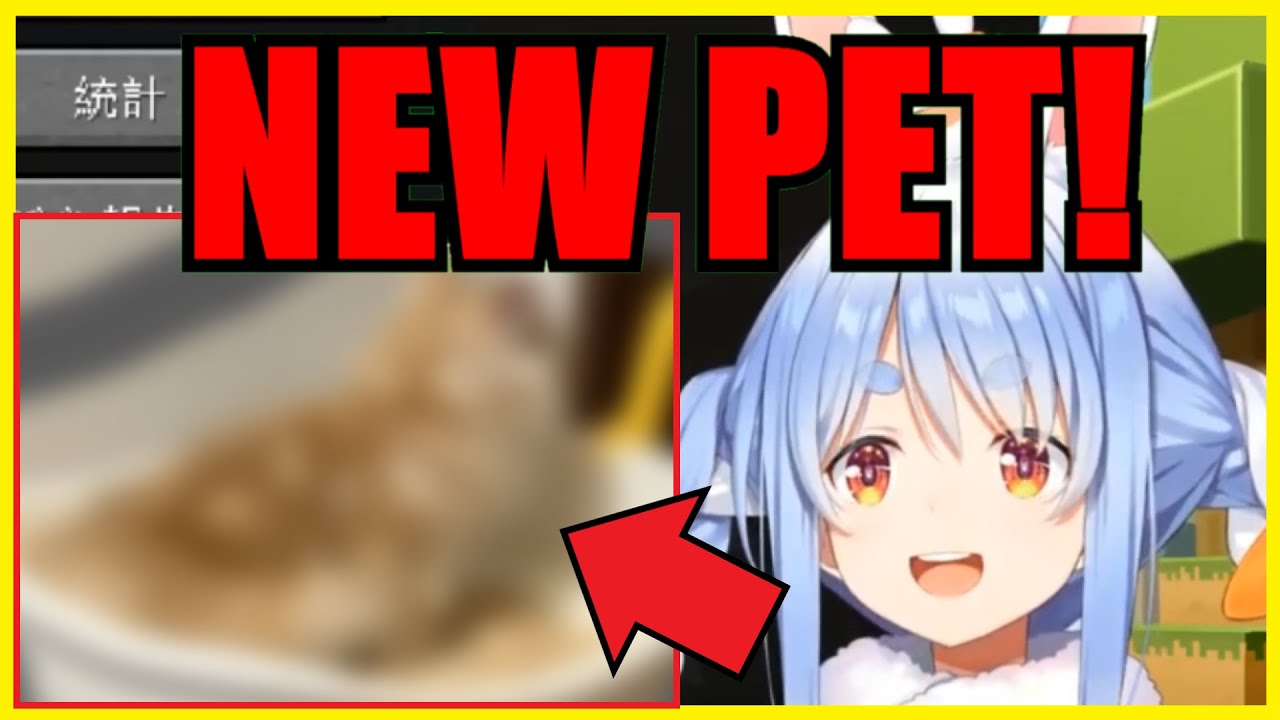 Pekora Got A Pet But It's Both Good & Bad News...【Hololive | Eng Sub】