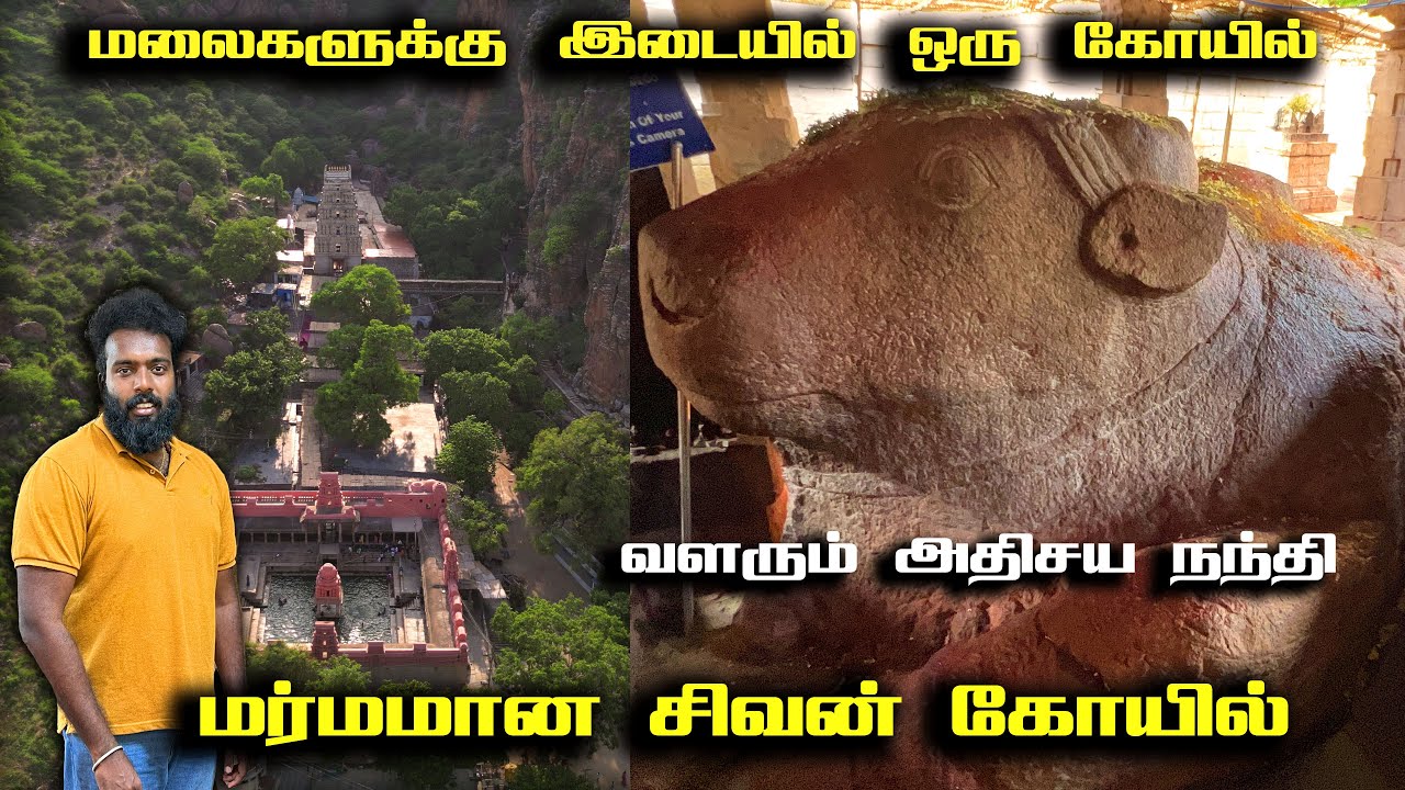 உலகை அழிக்க போகும் நந்தி | வளரும் அதிசய நந்தி | Yaganti Uma Maheswara Temple | யாகந்தி கோயில்