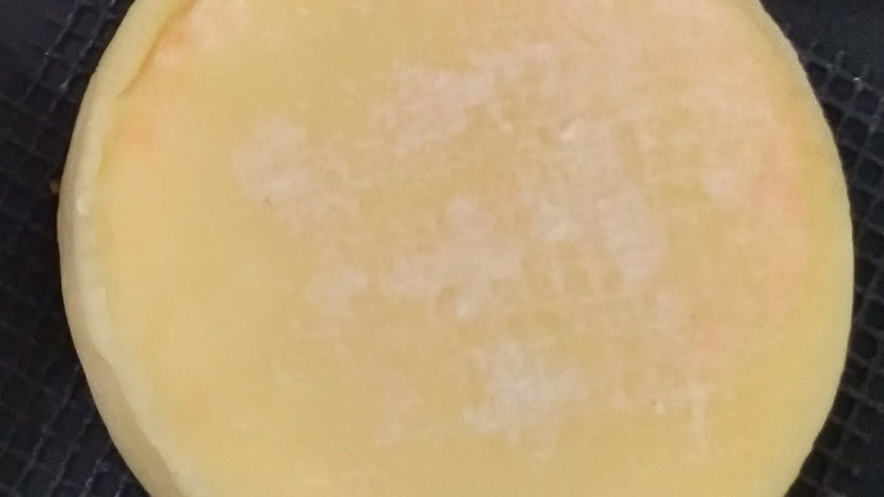 Atelier pratique fromage gouda