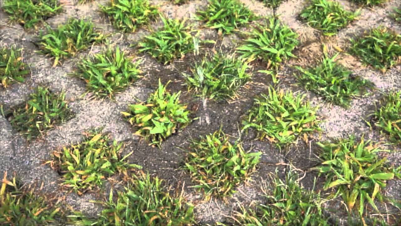Homeowner's Guide to Stormwater  (full version)