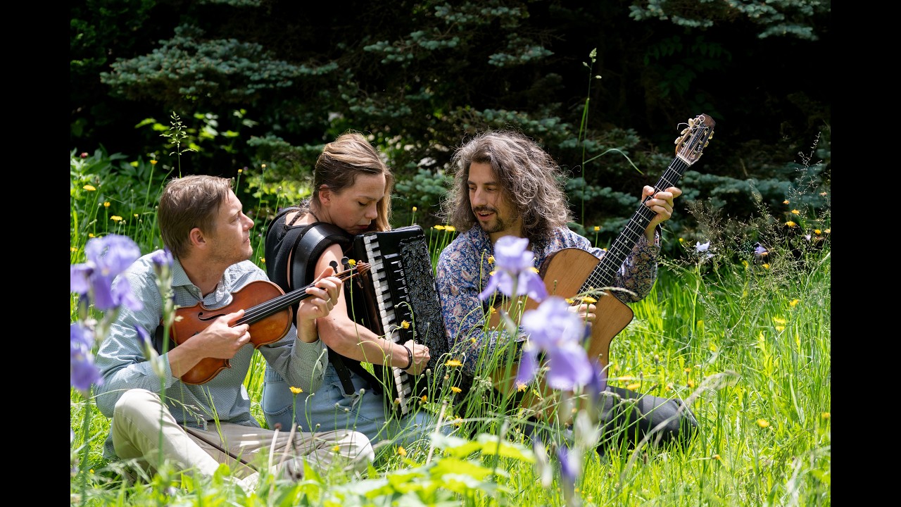 Härva trio - tiganeasca de la pogoanele