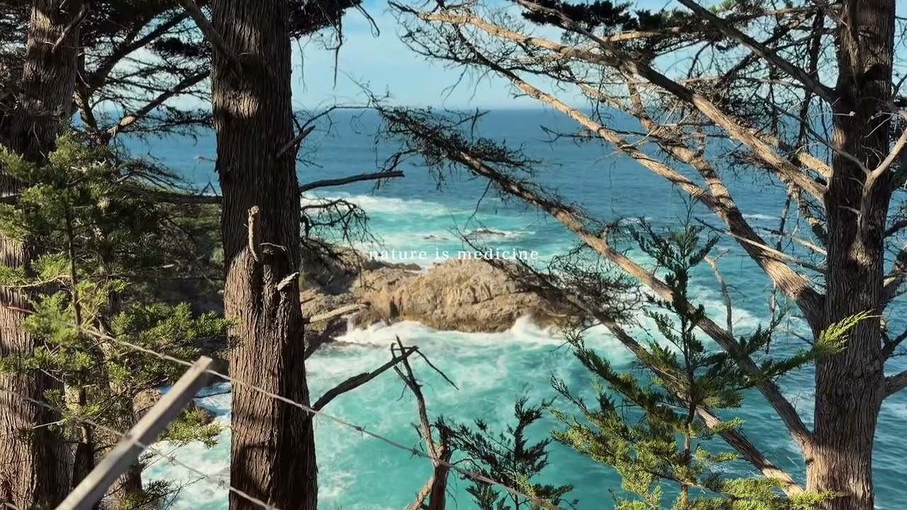 Big Sur | A Cinematic Coastal Escape