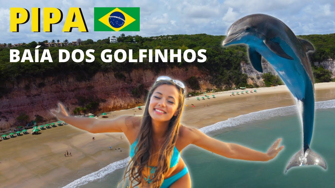 Baía dos Golfinhos PRAIA DA PIPA Beach 🇧🇷 Brazil | Playa del Pipa