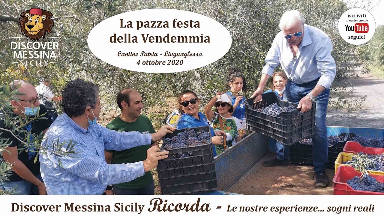 Da non credere!!! Quello che succede durante una bella e pazza domenica di vendemmia