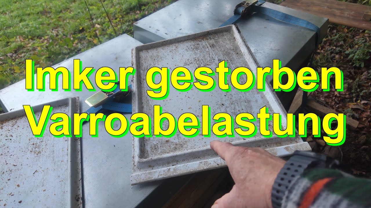 Imker gestorben - Varroabelastung #wirmachendas
