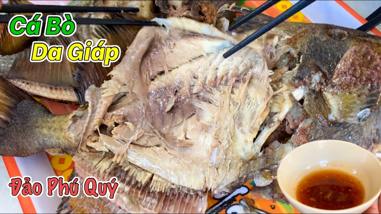 Đảo Phú Quý Mùa Đẹp Nhất Trong Năm | Đặc Sản Cá Bò Da Giáp Luộc Cuốn Bánh Tráng