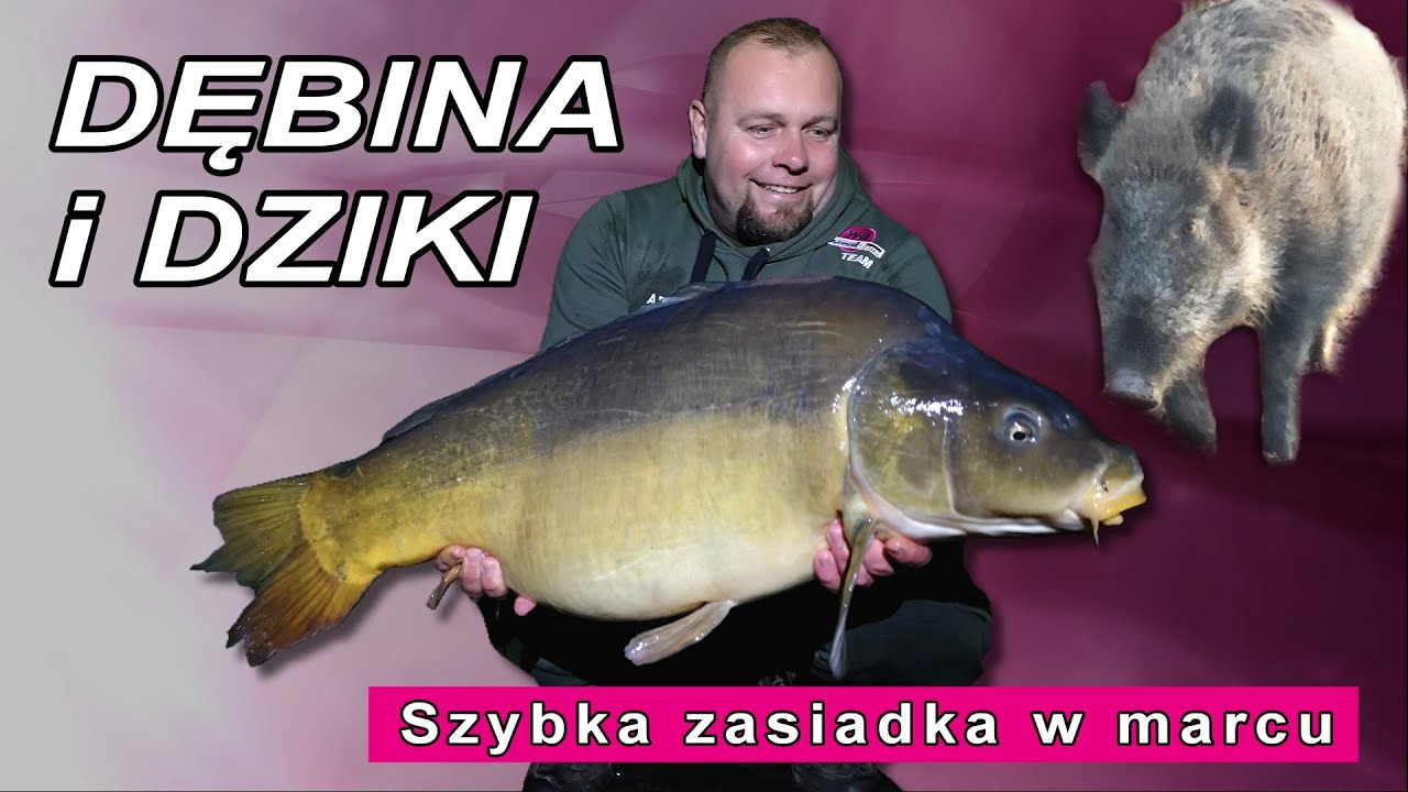Dębina i dziki w marcu #1 sezon 2021