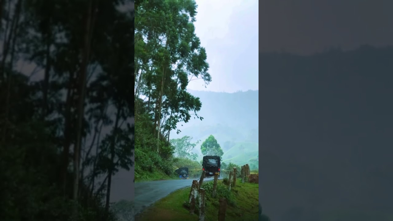 letchmi estate , munnar..😘😘