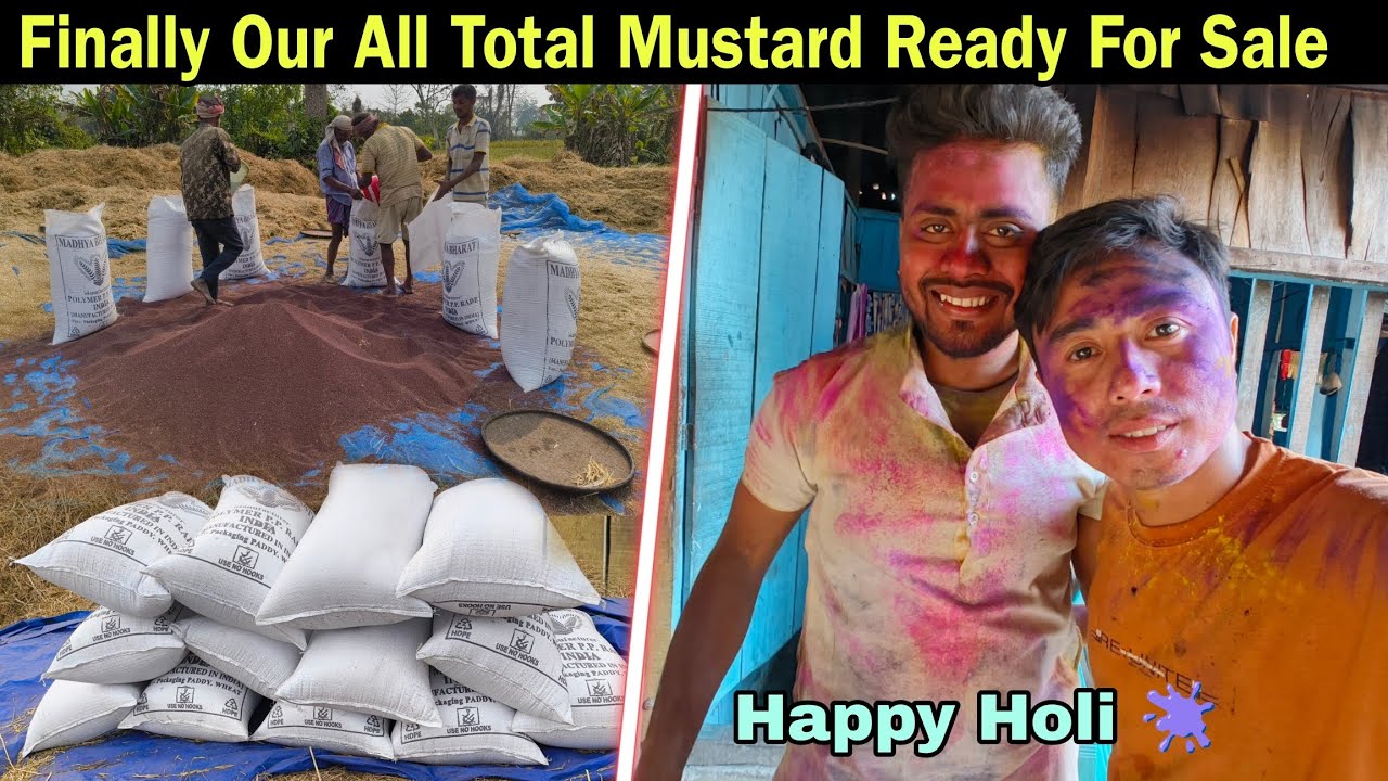 Finally All Total Sarso Packing Complete - Market में Selling के लिए रेडी किया