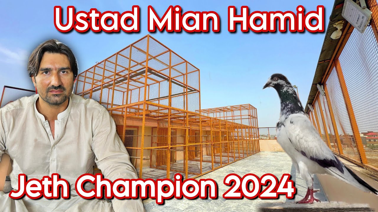 Ustad Mian Hamid Jeth 2024 Lahore Champion Pigeons Squad