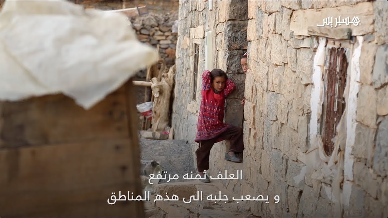 معاناة ومشقة من قلب جبال الأطلس الكبير