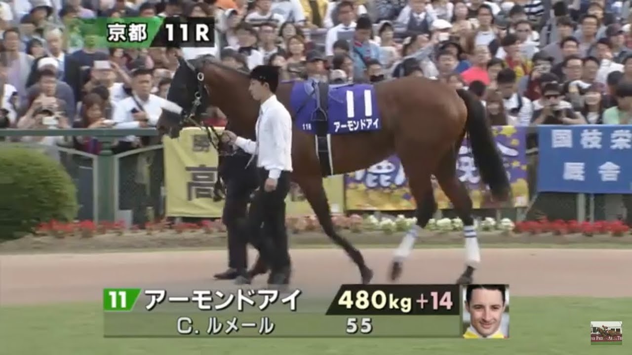 これが三冠馬アーモンドアイのパドック【秋華賞2018】