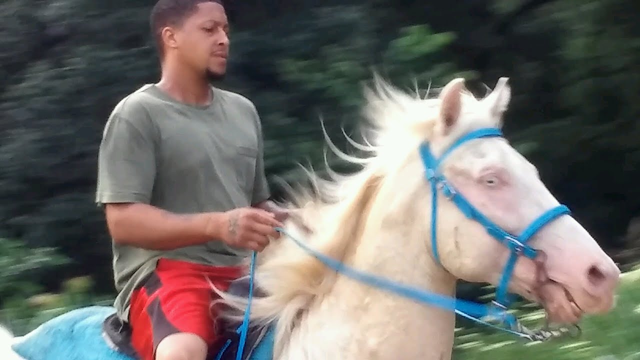2017 Hooks Texas Riders Trail Ride