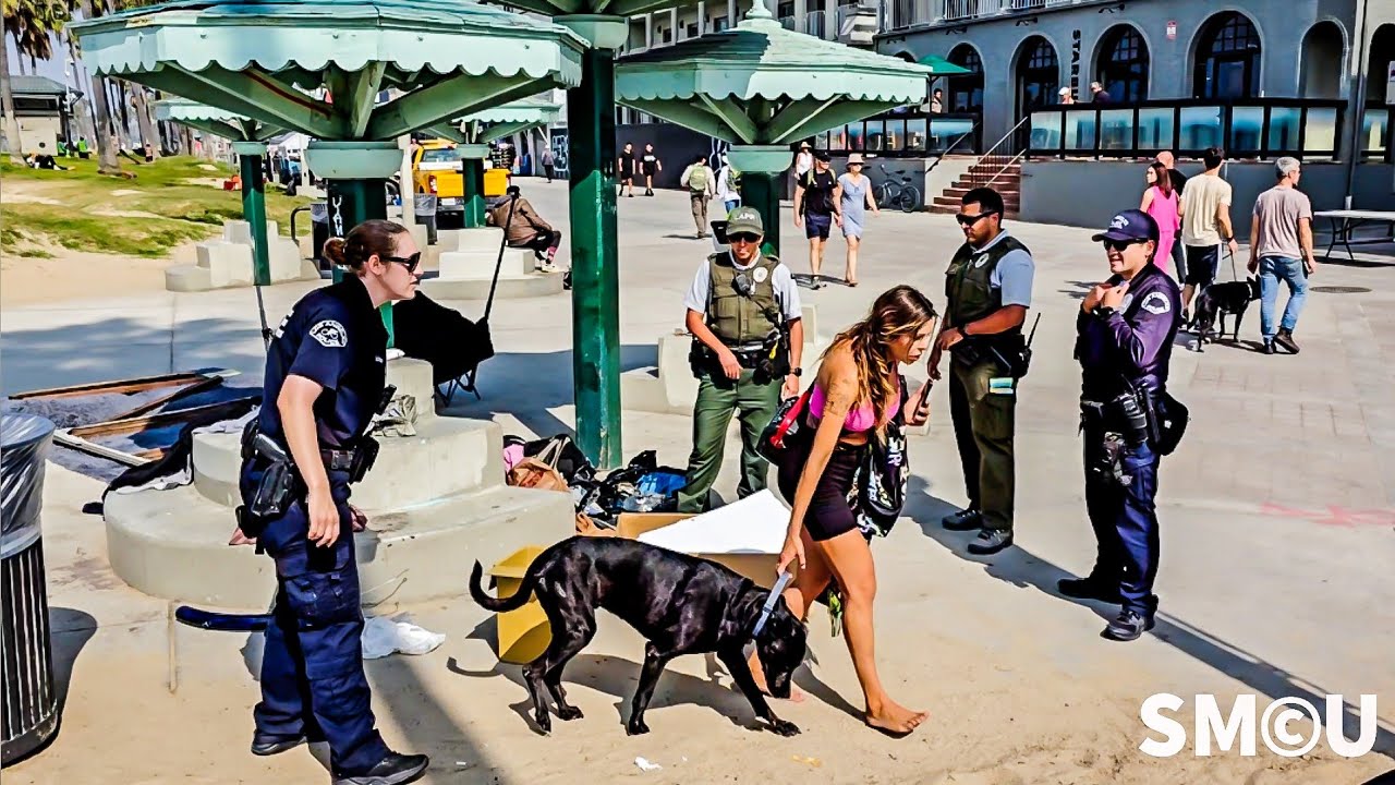 Venice Beach Pagoda Cleared of Homeless Encampments During Large-Scale Cleanup