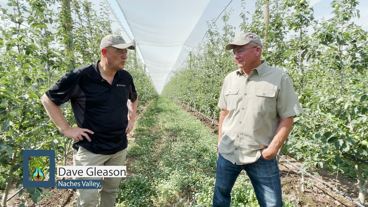 Washington State Apple Production
