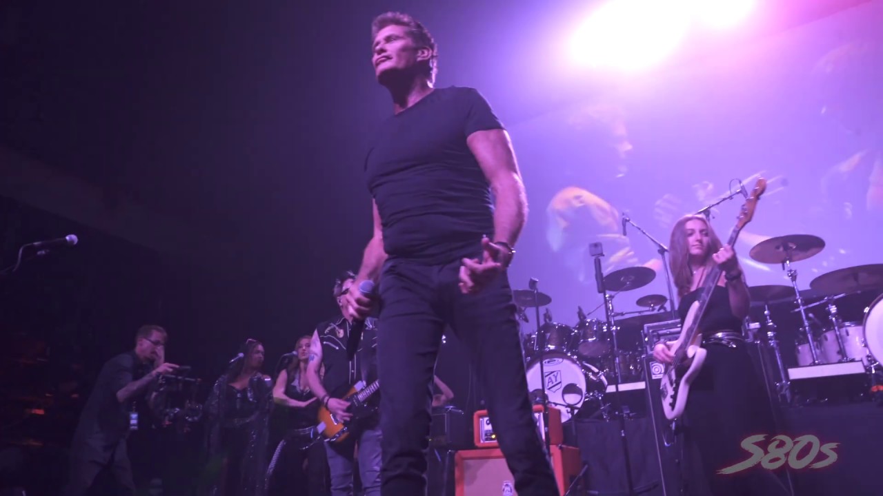 David Hasselhoff: LIVE 