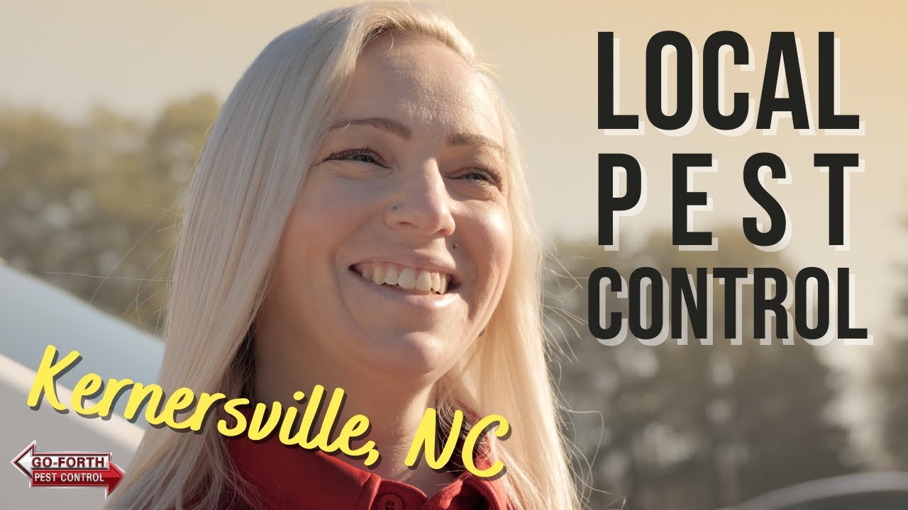 Local Pest Control in Kernersville, NC // Exterminators