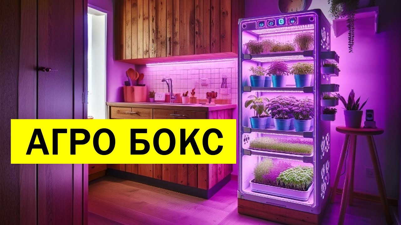 Выращиваем растения в шкафу | Агро бокс