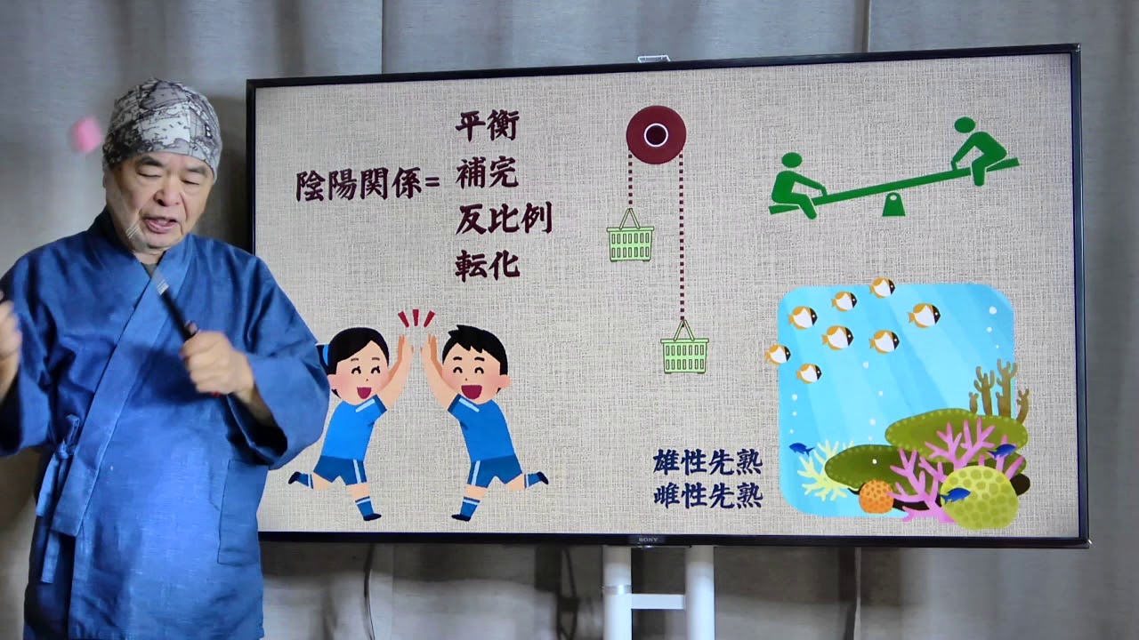 八綱弁証（陰陽、表裏、寒熱、虚実）