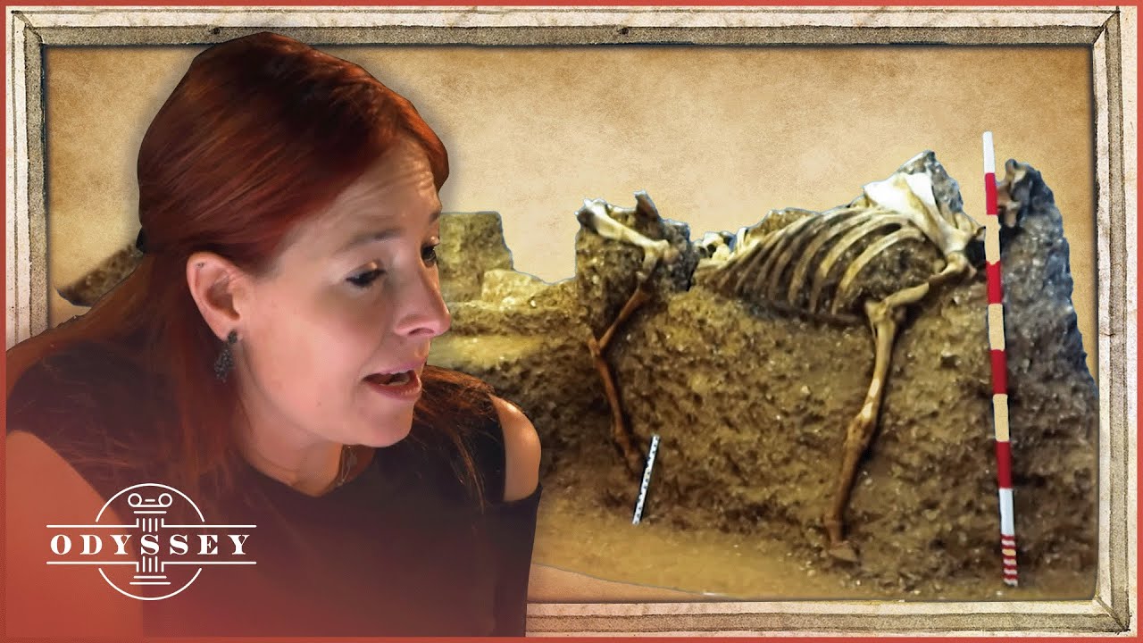 Archaeologists Uncover Bizarre Chariot Burial From Iron Age Britain