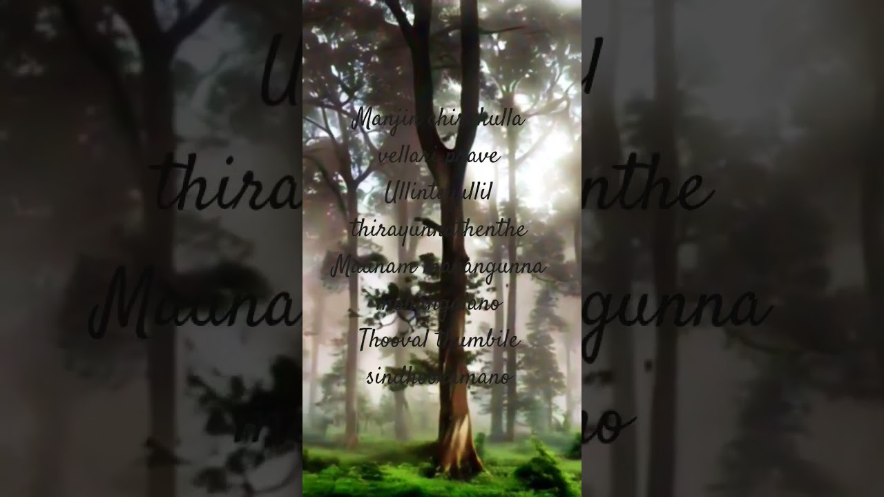 manjin chirakulla Vellariprave malayalam song short