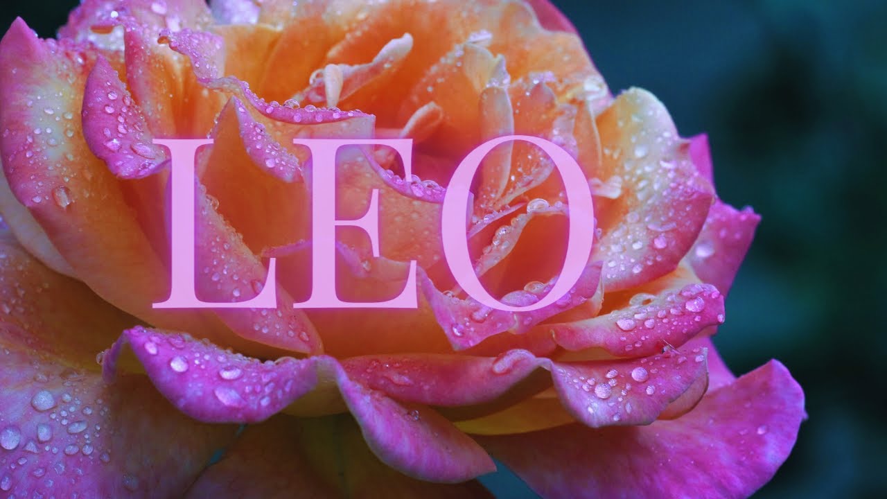 Leo ❤️ Finding Out Their Feelings For You Have Only Gotten Stronger!