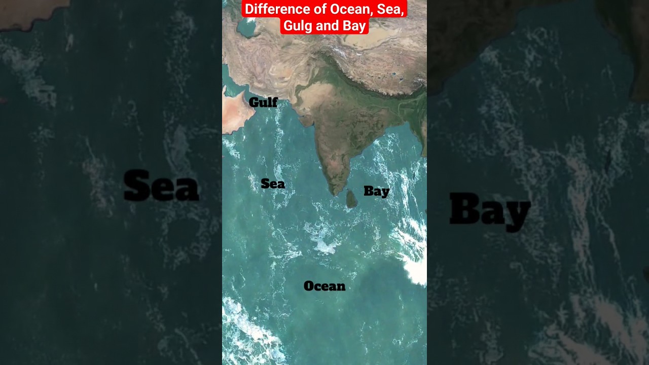 Difference of Ocean, Sea, Gulg and Bay #shorts #shortvideo #map #ocean #sea #gulf