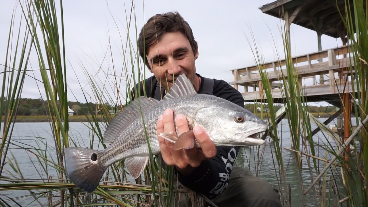 The Redfish Dock! South Carolina Redfish, Flounder, and Spotted Seatrout Slam!