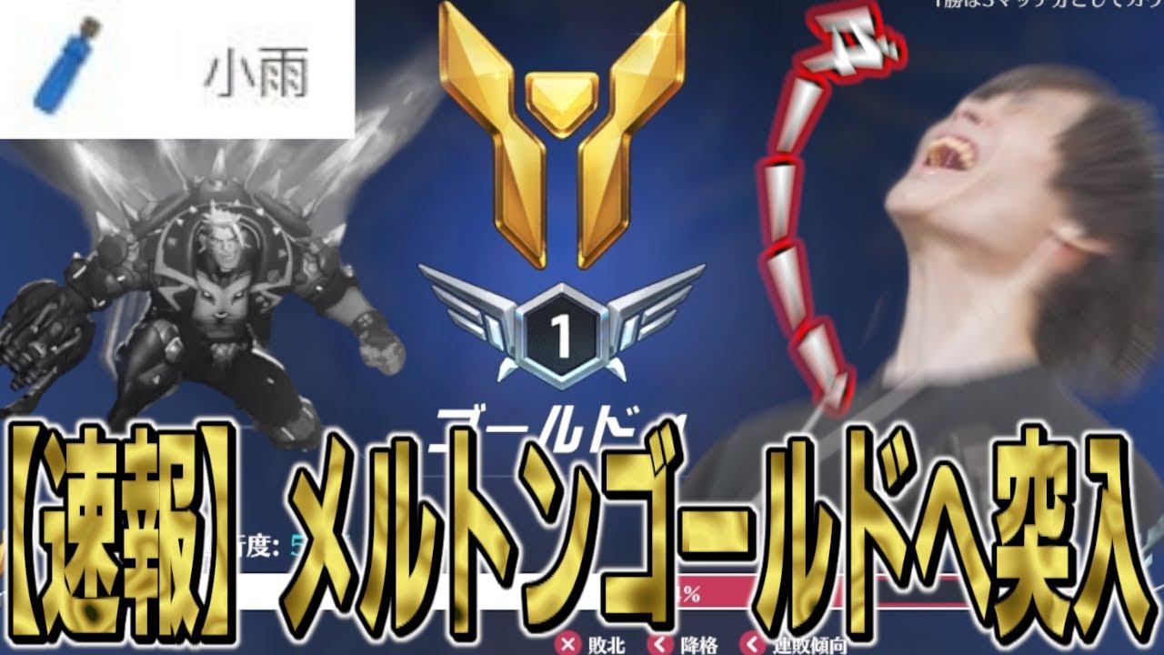 ハザードを使い始めてから何かがおかしいメルトン、ゴールドへ突入する【2024/12/21】【OW2,オーバーウォッチ2/切り抜き】