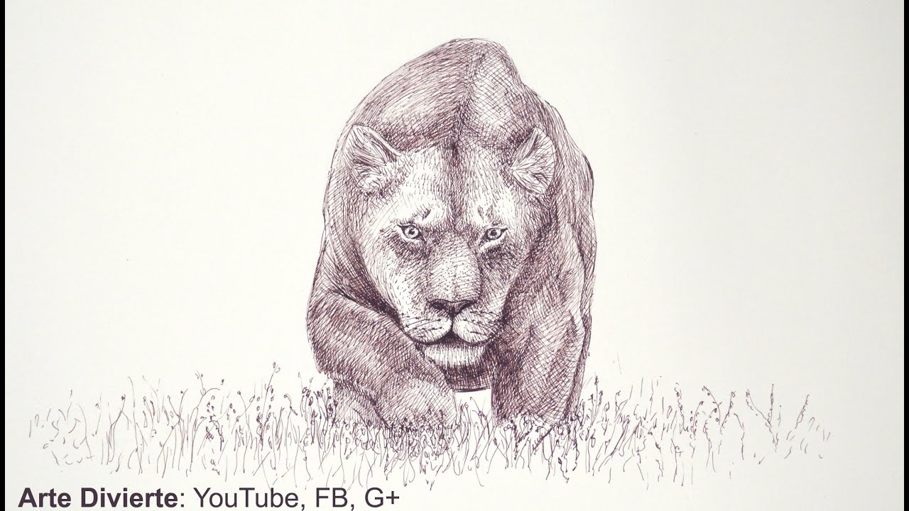 Dibujando felinos:cómo dibujar una leona con marcador -Arte Divierte