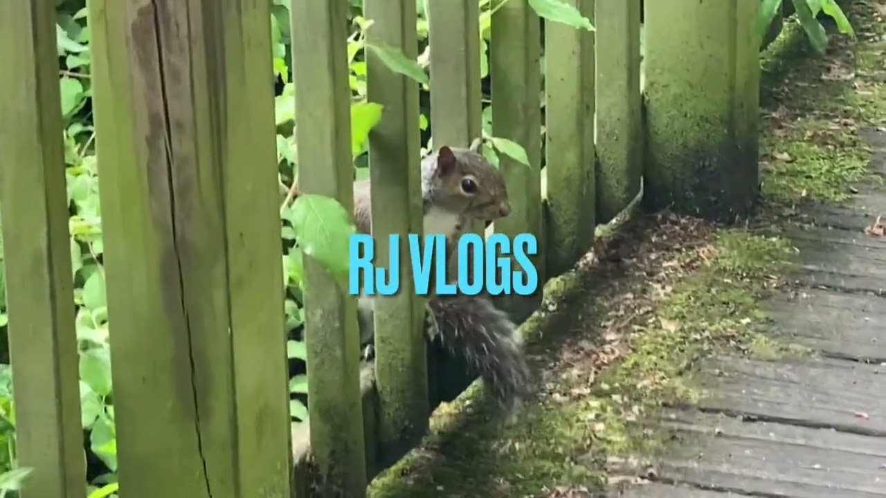 A day in Walsall Arboretum park, full tour ( must visit )
