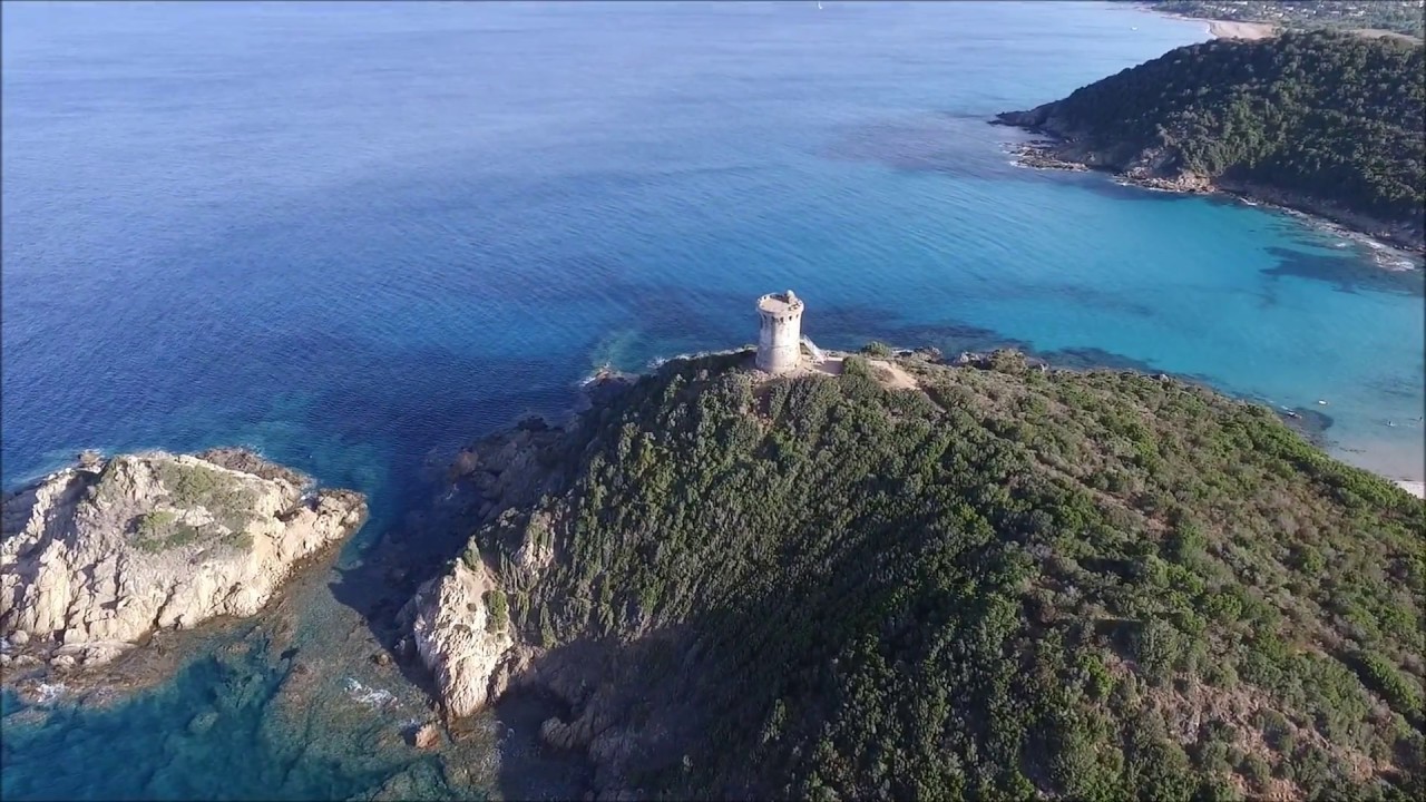 favone corse du sud 2
