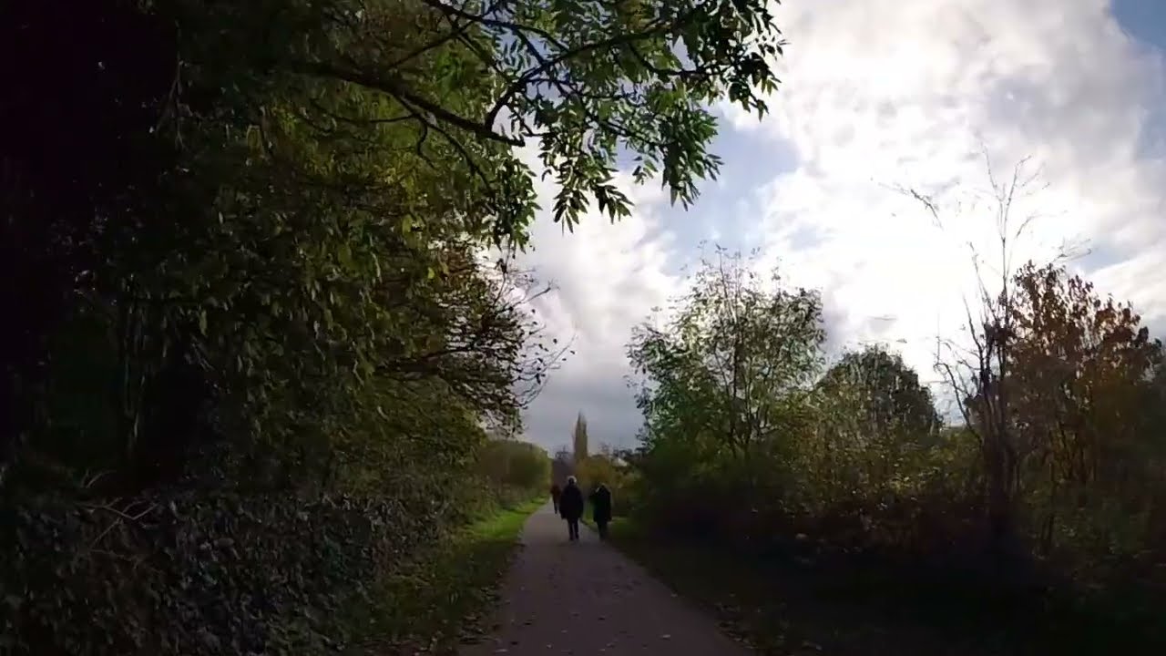 Dog Walking 