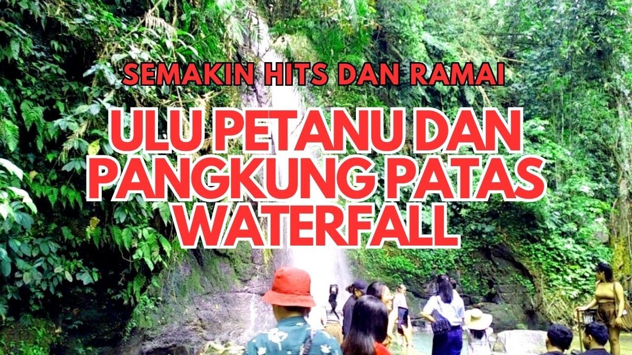 ULU PETANU WATERFALL - TEGALLALANG  SEMAKIN RAMAI WISATAWAN.