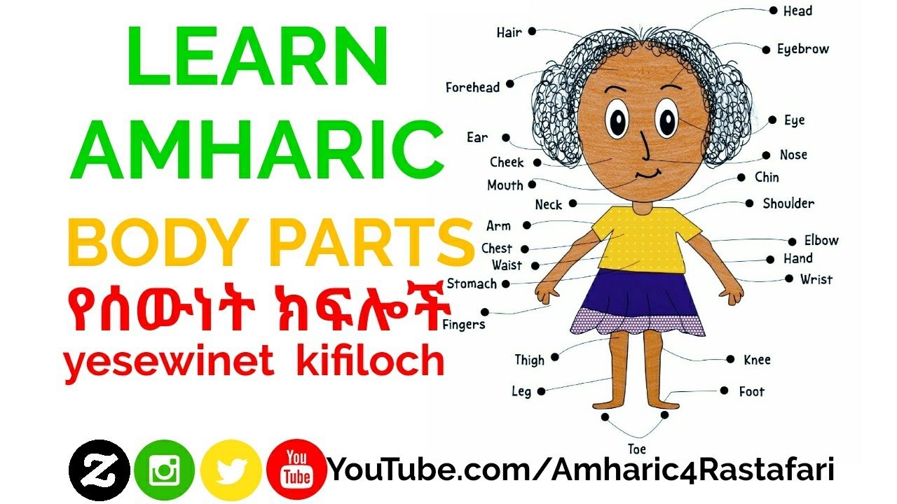 Learn Amharic Lesson - Parts of the Body (Body Parts Vocabulary)