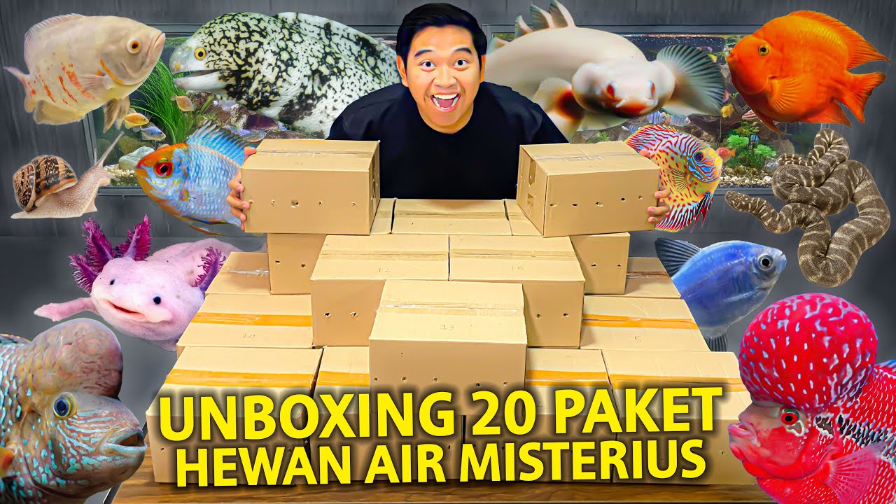 UNBOXING 20 PAKET HEWAN AIR MISTERIUS SEKALIGUS! DAPET JACKPOT IKAN MAHAL!