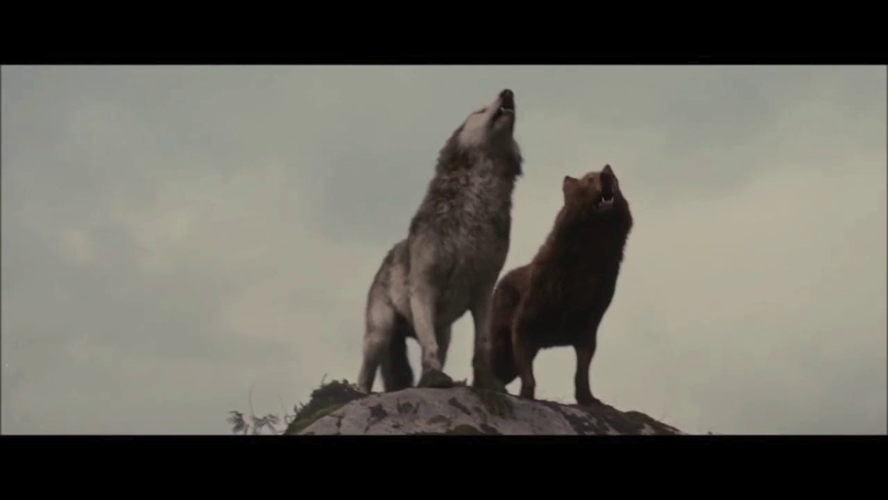 Twilight Wolves- Savin' Me