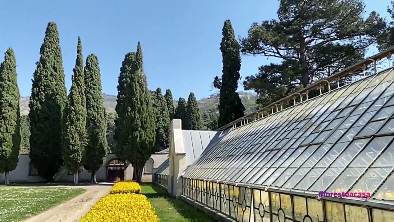 Museo Storico e Parco del Castello di Miramare - Miramare, primavera 2020 &ndash; Una fioritura mai vista
